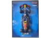 Масштабная модель Max Verstappen RB19 #1 картина с болидом формула-1 чемпион мира 2023 1:10 Maisto MA0121