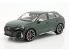 Масштабная модель Audi RSQ3 2019 зеленый металлик 1:18 Minichamps 155018102